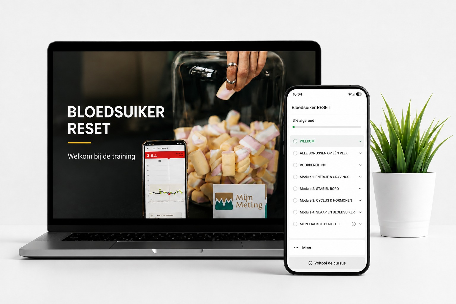 Bloedsuiker RESET